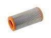 Air Filter:P 77-2580