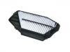 فلتر الهواء Air Filter:17220-P0A-G00