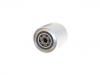 燃料フィルター Fuel Filter:4206080
