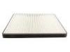 Filter, Innenraumluft Cabin Air Filter:A21-8107910