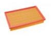 Air Filter:1109013-U01