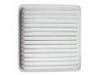 Air Filter:S1109160