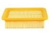 Air Filter:J62-1109111