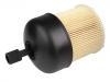 Fuel Filter:16403-00QAC